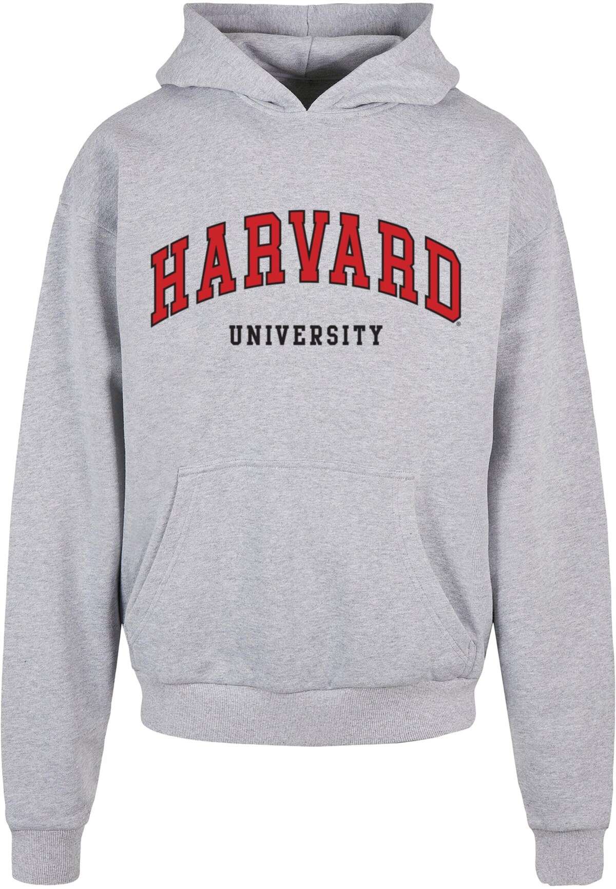 Свитшот Harvard University - Script