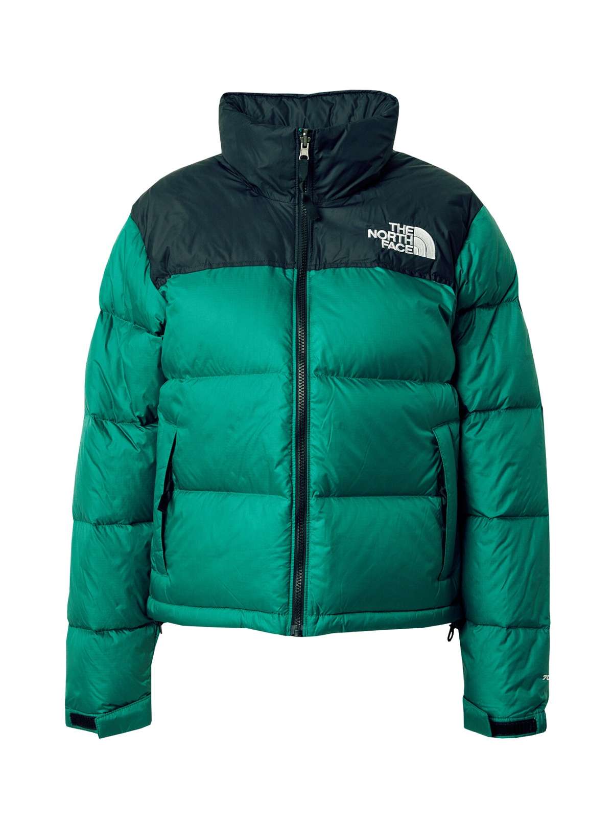 Куртка 1996 Retro Nuptse