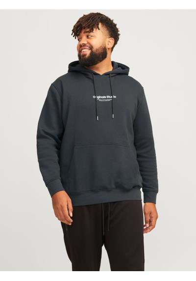 Толстовка с капюшоном JORVESTERBRO SWEAT HOOD NOOS PLS