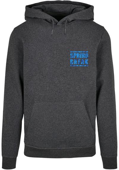 Толстовка с капюшоном»Herren Spring Break 2 Basic Hoody«