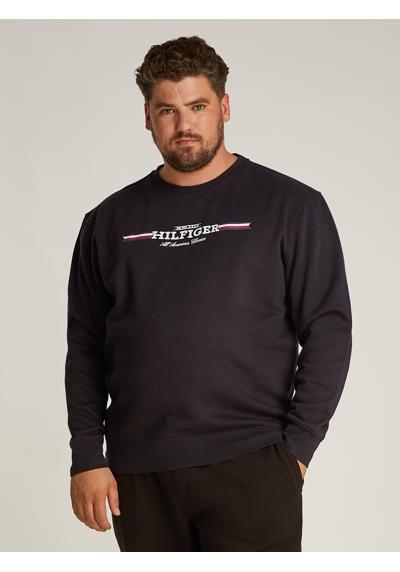 Толстовка больших размеров BT-HILFIGER STRIPE SWEATSHIRT-B