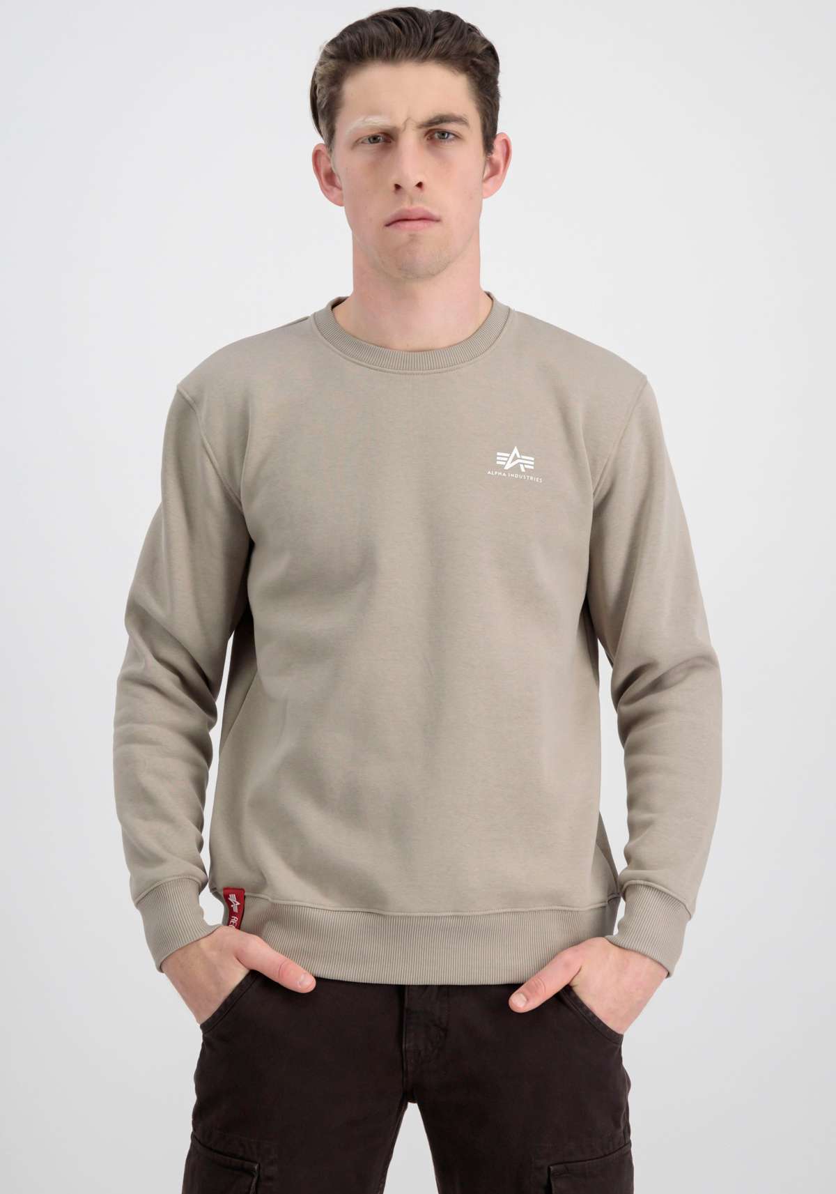 толстовка Basic Sweater small Logo