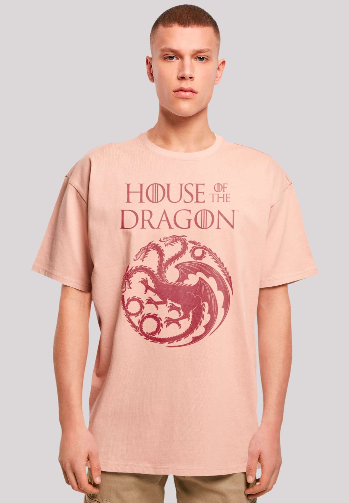 футболка»House Of The Dragon Targaryen Crest Logo«