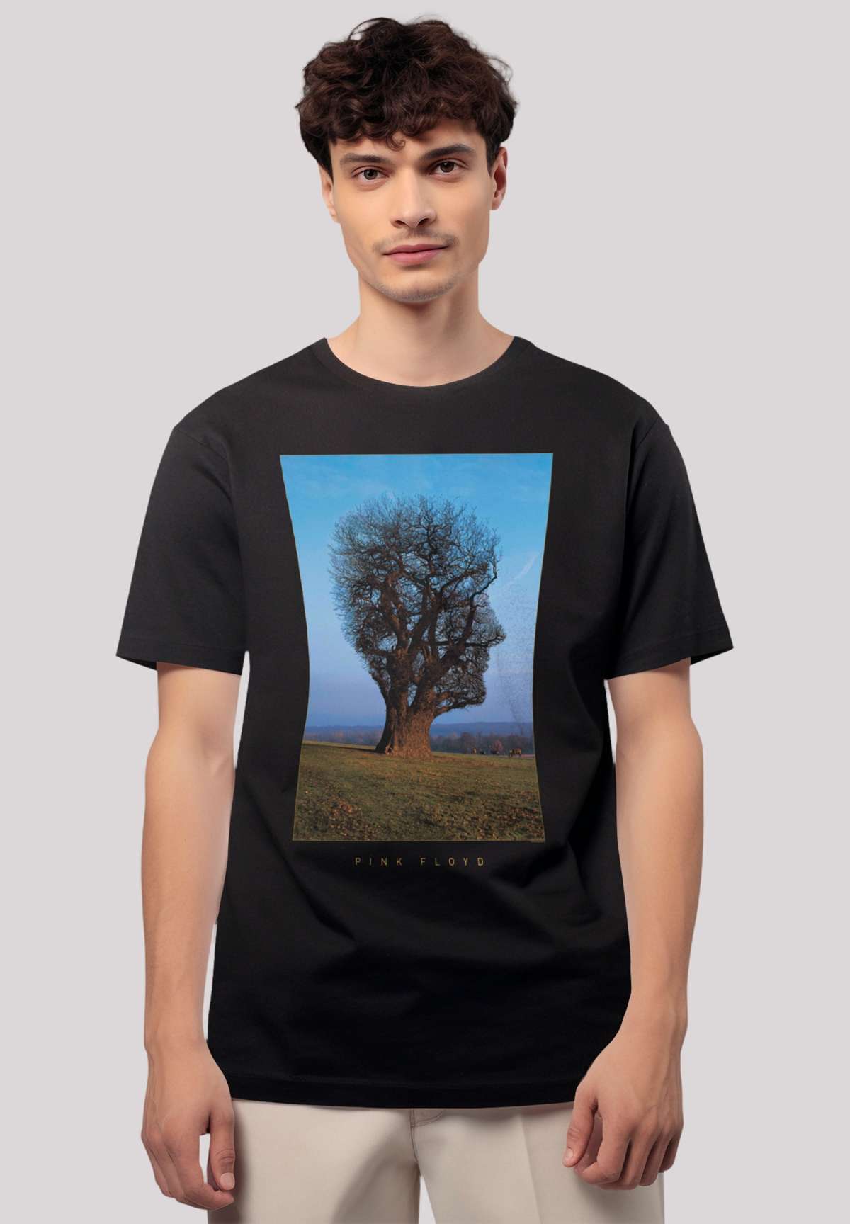 футболка»Pink Floyd Tree Head«