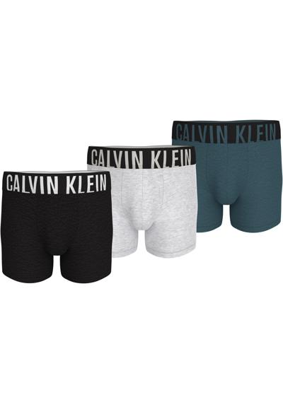 боксер BOXER BRIEF 3PK