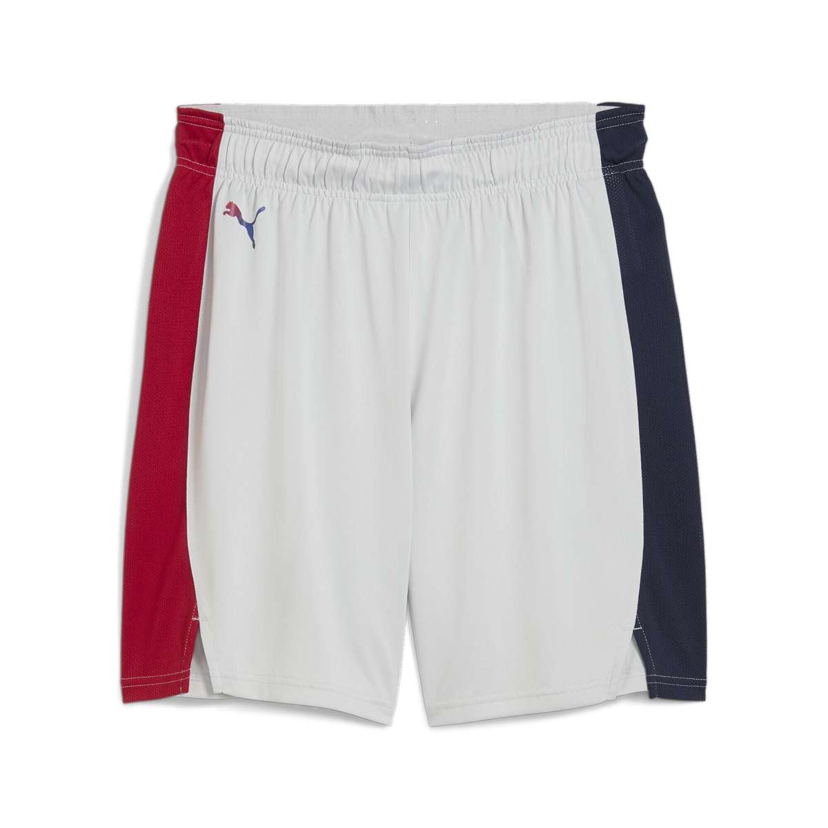 шорты »Saski Baskonia 24/25 Shorts Herren«