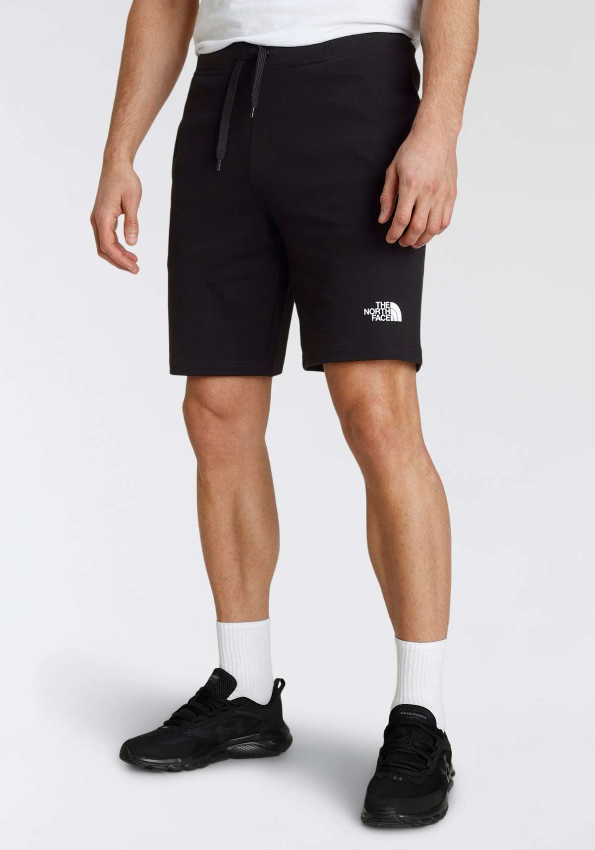 Спортивные шорты»NF0A3S4FJK31 M Graphic Short light,«