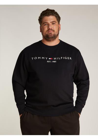 Толстовка больших размеров с логотипом BT-TOMMY LOGO SWEATSHIRT-B