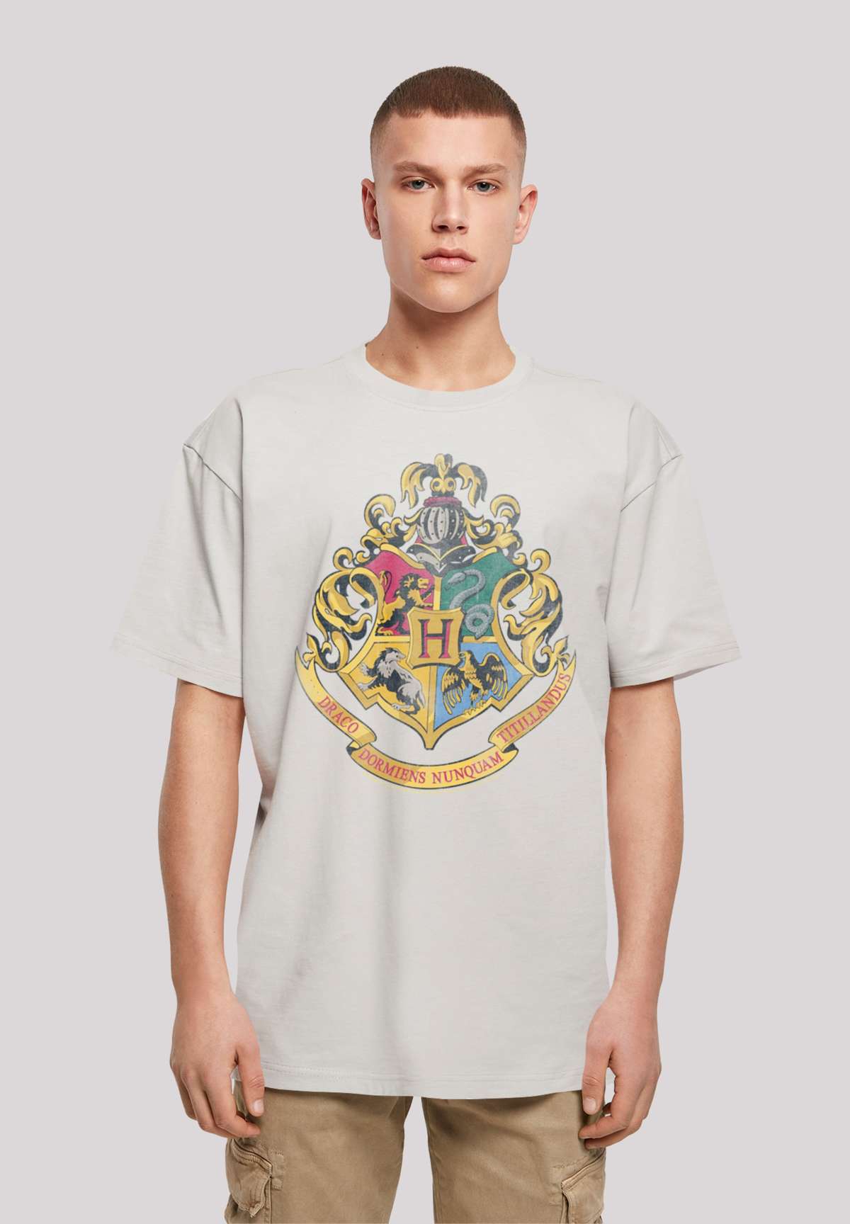 футболка Harry Potter Distressed Hogwarts Crest