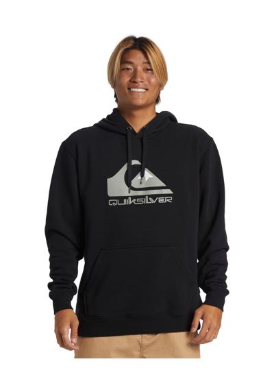 Толстовка с капюшоном BIG LOGO HOODIE