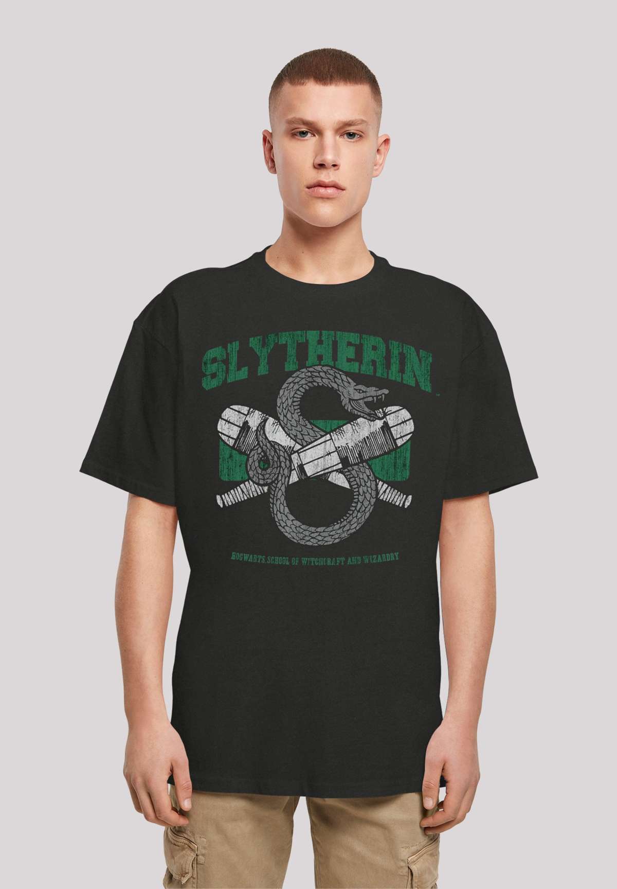 Футболка HARRY POTTER SLYTHERIN