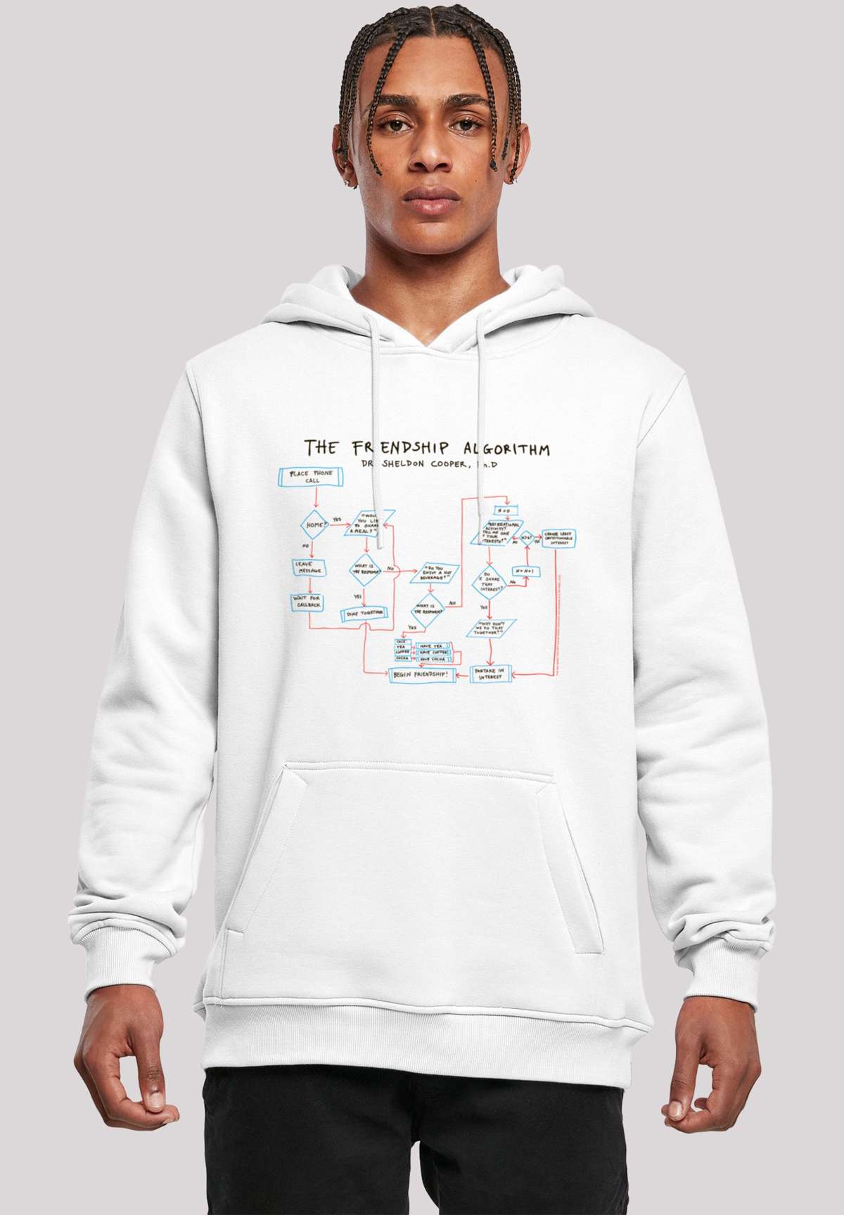 Пуловер BIG BANG THEORY TV SERIE THEORY FRIENDSHIP ALGORITHM