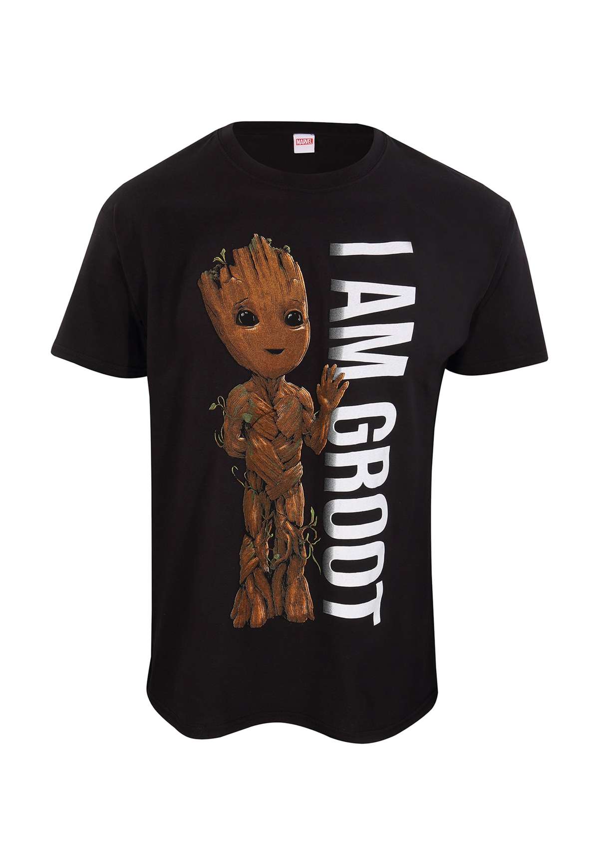 Футболка MARVEL STUDIOS I AM GROOT