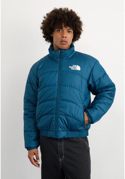 Зимняя куртка TNF 2000