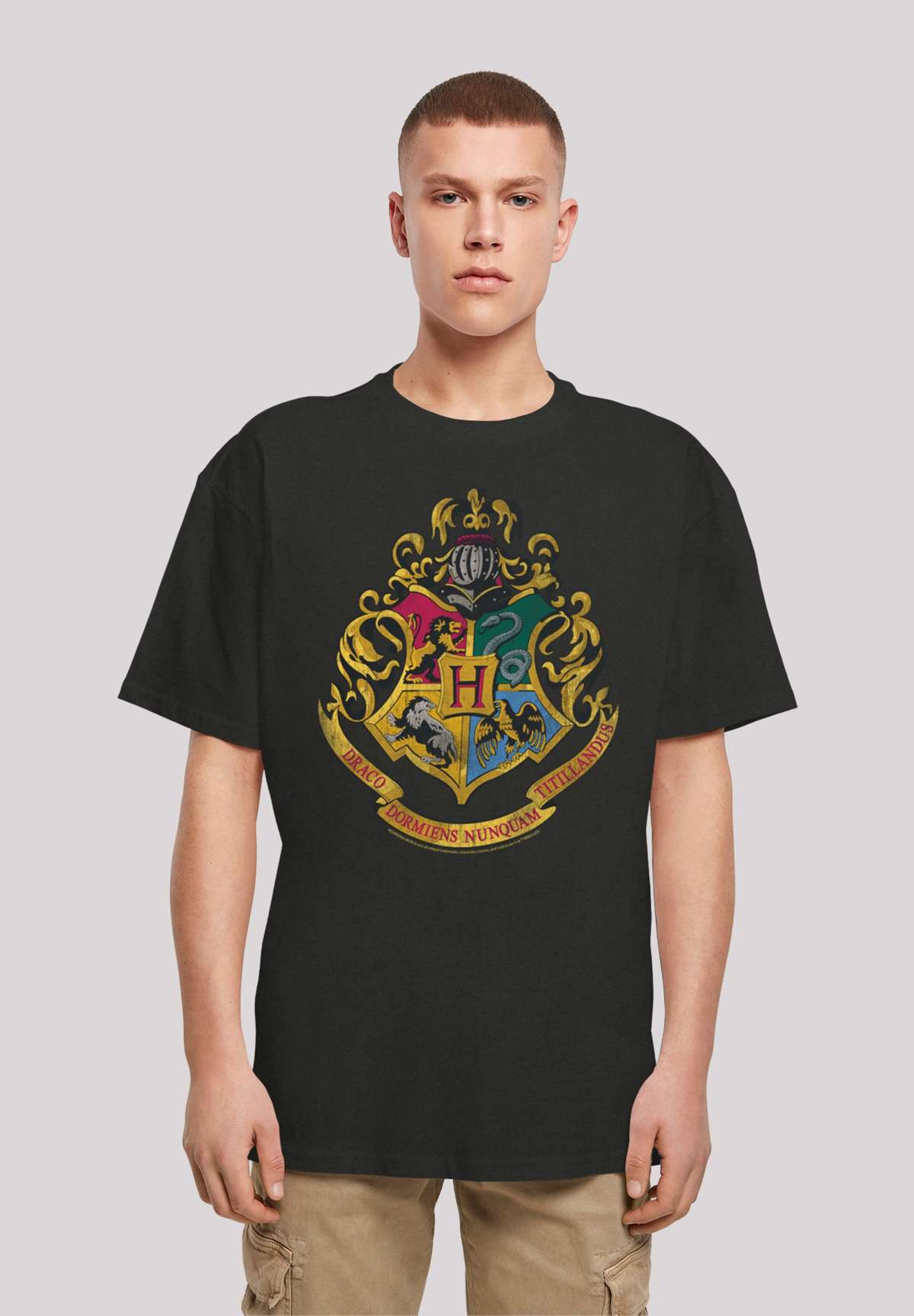 Футболка HARRY POTTER DISTRESSED HOGWARTS CREST